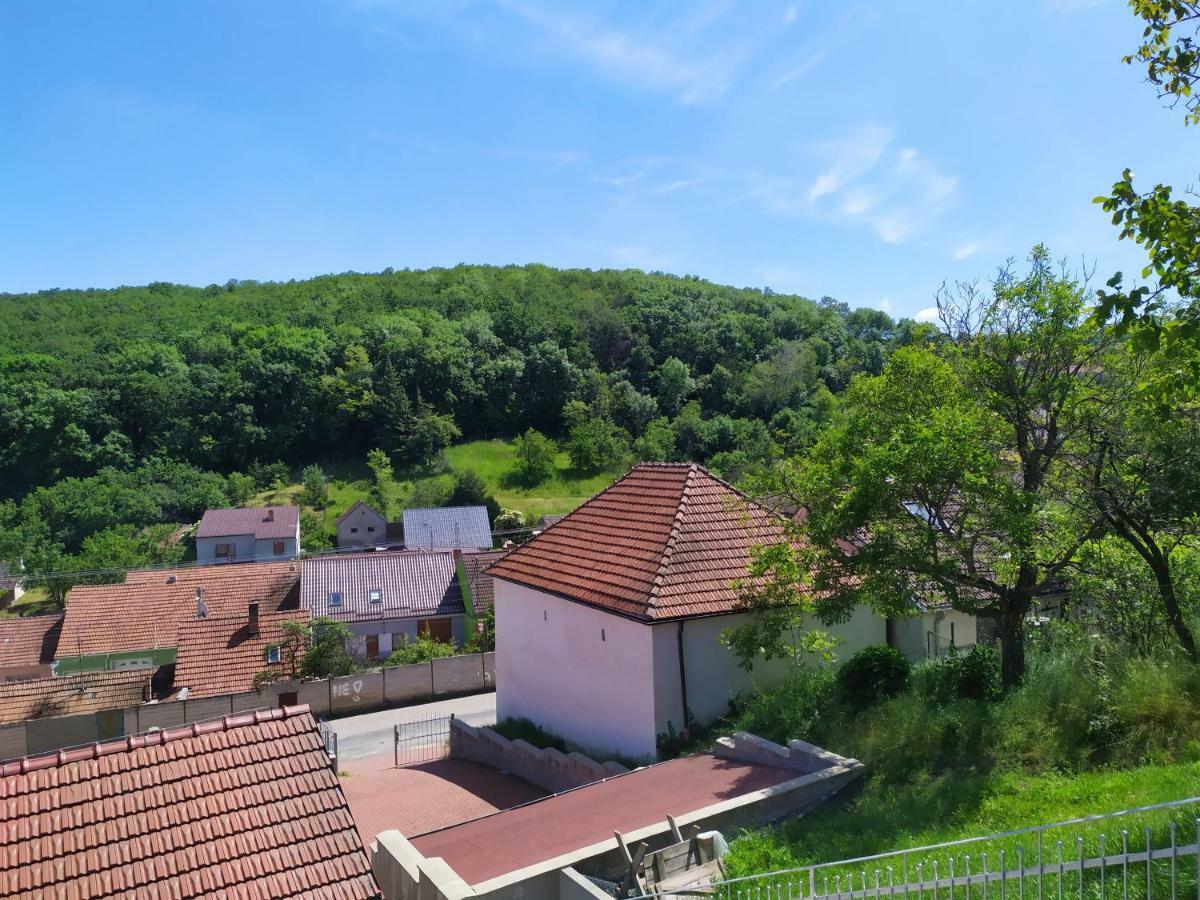 Apartment Koprivovi Němčičky Dış mekan fotoğraf